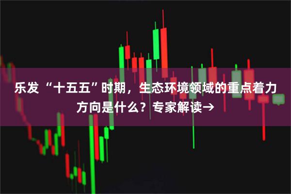 乐发 “十五五”时期，生态环境领域的重点着力方向是什么？专家解读→