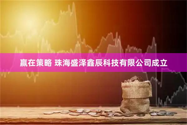 赢在策略 珠海盛泽鑫辰科技有限公司成立