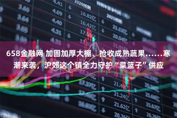 658金融网 加固加厚大棚、抢收成熟蔬果……寒潮来袭，沪郊这个镇全力守护“菜篮子”供应