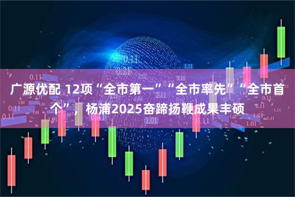 广源优配 12项“全市第一”“全市率先”“全市首个”，杨浦2025奋蹄扬鞭成果丰硕