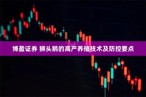 博盈证券 狮头鹅的高产养殖技术及防控要点